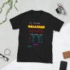 Galaxian Mod.01 Arcade Space Invaders Video Game Juego