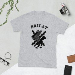 BRILAT Mod.06 Brigada de Infantería Ligera Aerotransportable Ejército