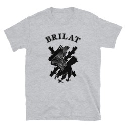 BRILAT Mod.06 Brigada de Infantería Ligera Aerotransportable Ejército