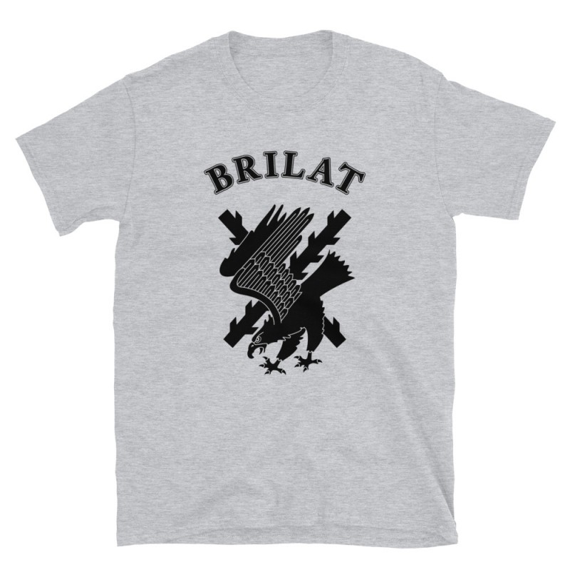 BRILAT Mod.06 Brigada de Infantería Ligera Aerotransportable Ejército