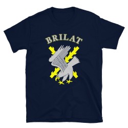 BRILAT Mod.07 Brigada de Infantería Ligera Aerotransportable Ejército