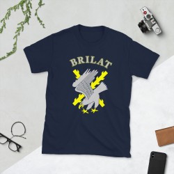 BRILAT Mod.07 Brigada de Infantería Ligera Aerotransportable Ejército