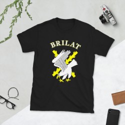 BRILAT Mod.09 Brigada de Infantería Ligera Aerotransportable Ejército
