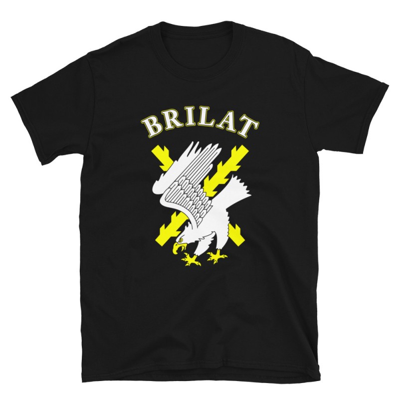 BRILAT Mod.09 Brigada de Infantería Ligera Aerotransportable Ejército
