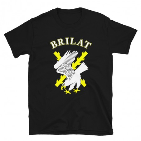 BRILAT Mod.09 Brigada de Infantería Ligera Aerotransportable Ejército