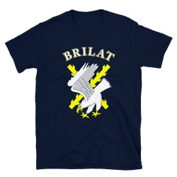 BRILAT Mod.09 Brigada de Infantería Ligera Aerotransportable Ejército