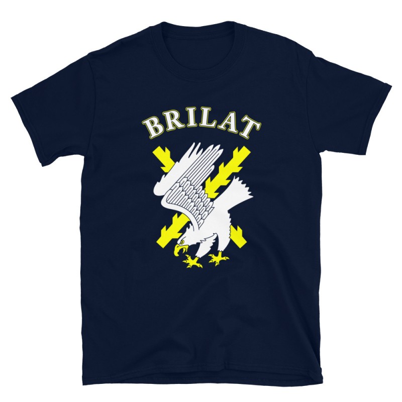 BRILAT Mod.09 Brigada de Infantería Ligera Aerotransportable Ejército