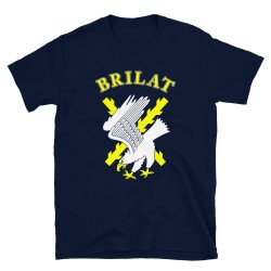 BRILAT Mod.10 Brigada de Infantería Ligera Aerotransportable Ejército