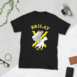 BRILAT Mod.10 Brigada de Infantería Ligera Aerotransportable Ejército