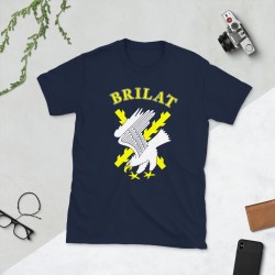 BRILAT Mod.10 Brigada de Infantería Ligera Aerotransportable Ejército