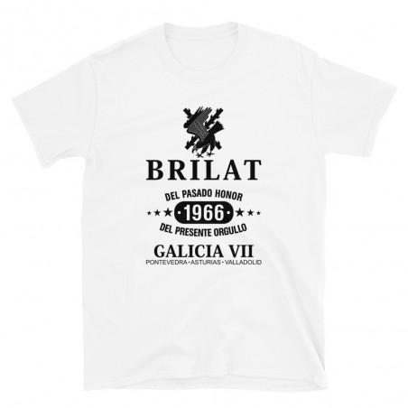 BRILAT Mod.11 Brigada de Infantería Ligera Aerotransportable Ejército