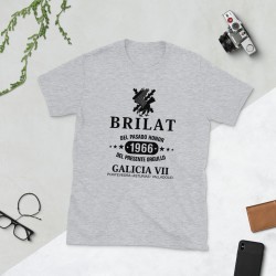 BRILAT Mod.11 Brigada de Infantería Ligera Aerotransportable Ejército