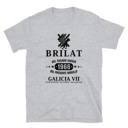 BRILAT Mod.11 Brigada de Infantería Ligera Aerotransportable Ejército