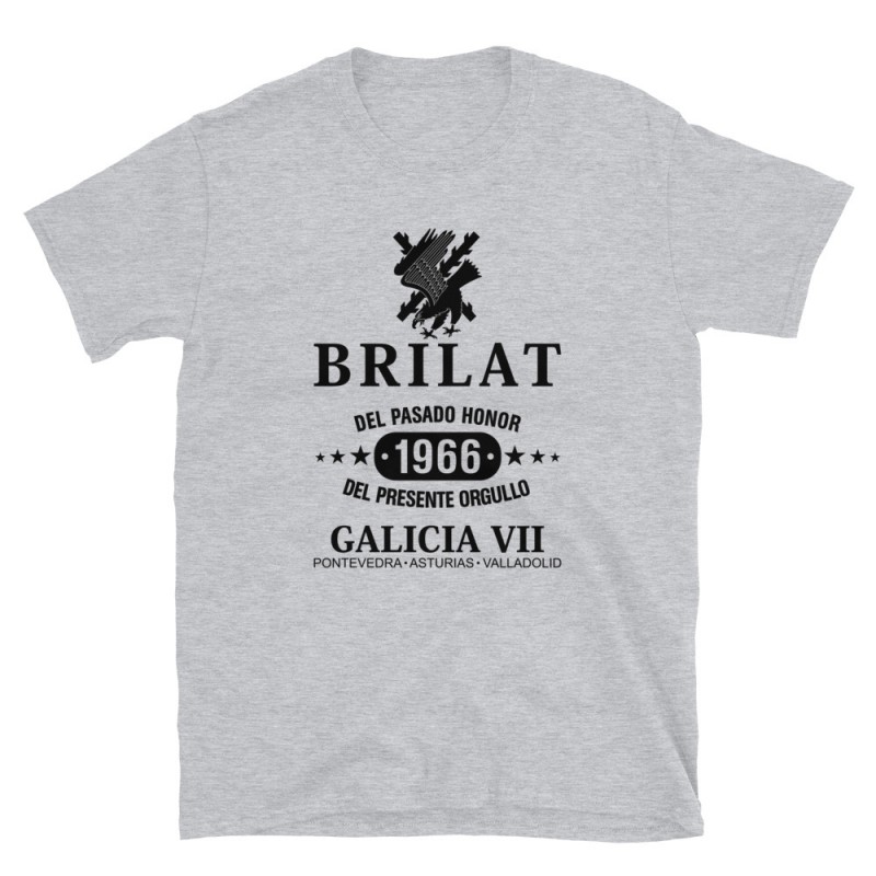 BRILAT Mod.11 Brigada de Infantería Ligera Aerotransportable Ejército
