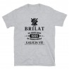 BRILAT Mod.11 Brigada de Infantería Ligera Aerotransportable Ejército