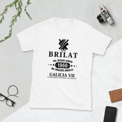 BRILAT Mod.11 Brigada de Infantería Ligera Aerotransportable Ejército