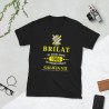 BRILAT Mod.12 Brigada de Infantería Ligera Aerotransportable Ejército