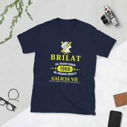 BRILAT Mod.13 Brigada de Infantería Ligera Aerotransportable Ejército