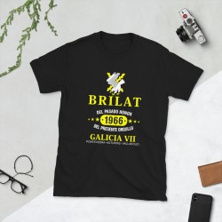 BRILAT Mod.13 Brigada de Infantería Ligera Aerotransportable Ejército