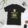 BRILAT Mod.13 Brigada de Infantería Ligera Aerotransportable Ejército