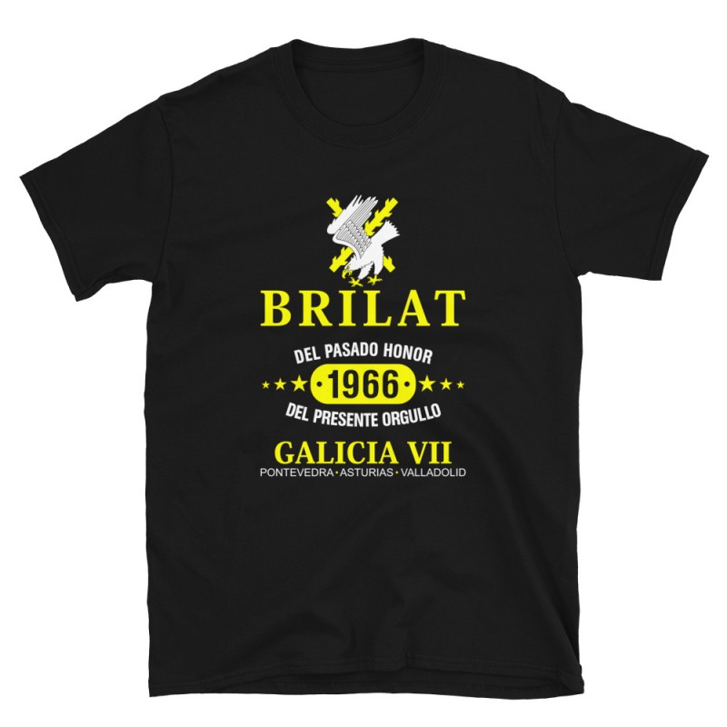 BRILAT Mod.13 Brigada de Infantería Ligera Aerotransportable Ejército
