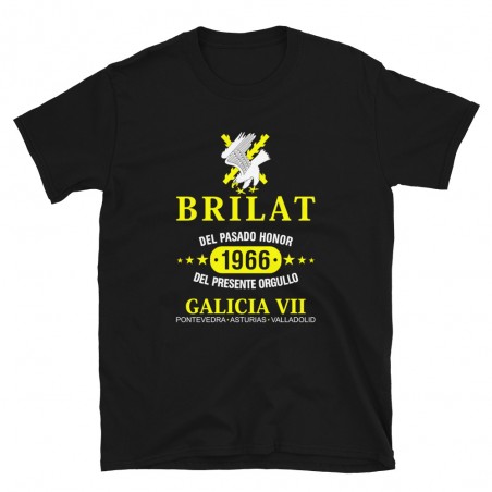 BRILAT Mod.13 Brigada de Infantería Ligera Aerotransportable Ejército