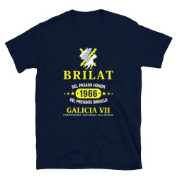 BRILAT Mod.13 Brigada de Infantería Ligera Aerotransportable Ejército