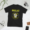 BRILAT Mod.15 Brigada de Infantería Ligera Aerotransportable Ejército
