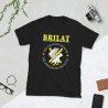 BRILAT Mod.16 Brigada de Infantería Ligera Aerotransportable Ejército
