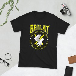 BRILAT Mod.20 Brigada de Infantería Ligera Aerotransportable Ejército