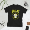 BRILAT Mod.20 Brigada de Infantería Ligera Aerotransportable Ejército