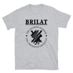 BRILAT Mod.22 Brigada de Infantería Ligera Aerotransportable Ejército
