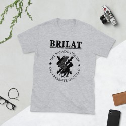 BRILAT Mod.22 Brigada de Infantería Ligera Aerotransportable Ejército