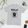 BRILAT Mod.22 Brigada de Infantería Ligera Aerotransportable Ejército