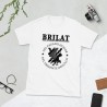 BRILAT Mod.22 Brigada de Infantería Ligera Aerotransportable Ejército