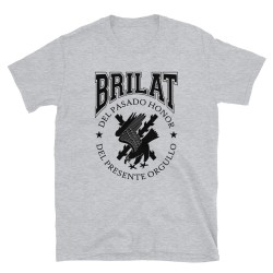 BRILAT Mod.23 Brigada de Infantería Ligera Aerotransportable Ejército