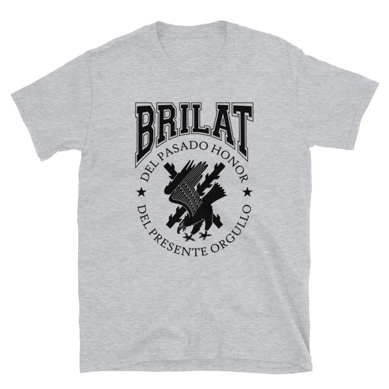 BRILAT Mod.23 Brigada de Infantería Ligera Aerotransportable Ejército