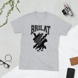BRILAT Mod.24 Brigada de Infantería Ligera Aerotransportable Ejército