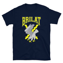 BRILAT Mod.25 Brigada de Infantería Ligera Aerotransportable Ejército