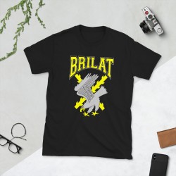 BRILAT Mod.25 Brigada de Infantería Ligera Aerotransportable Ejército