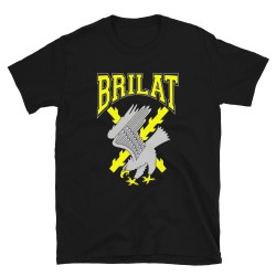 BRILAT Mod.25 Brigada de Infantería Ligera Aerotransportable Ejército