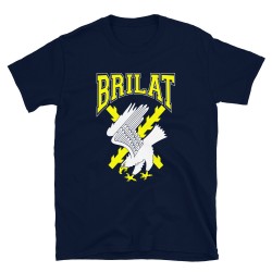 BRILAT Mod.26 Brigada de Infantería Ligera Aerotransportable Ejército