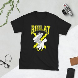 BRILAT Mod.26 Brigada de Infantería Ligera Aerotransportable Ejército