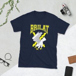 BRILAT Mod.26 Brigada de Infantería Ligera Aerotransportable Ejército