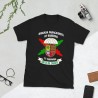 BRIPAC Mod.41 Bandera Ortiz de Zárate Brigada Paracaidista Ejército