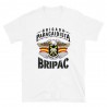 BRIPAC Mod.47 Brigada Paracaidista Desperta Ferro Triunfar o Morir