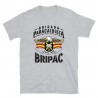 BRIPAC Mod.47 Brigada Paracaidista Desperta Ferro Triunfar o Morir