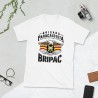 BRIPAC Mod.47 Brigada Paracaidista Desperta Ferro Triunfar o Morir