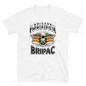 BRIPAC Mod.49 Brigada Paracaidista Desperta Ferro Triunfar o Morir