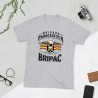 BRIPAC Mod.49 Brigada Paracaidista Desperta Ferro Triunfar o Morir